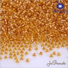 Rokajl Preciosa 10/0, 50g (P1804)